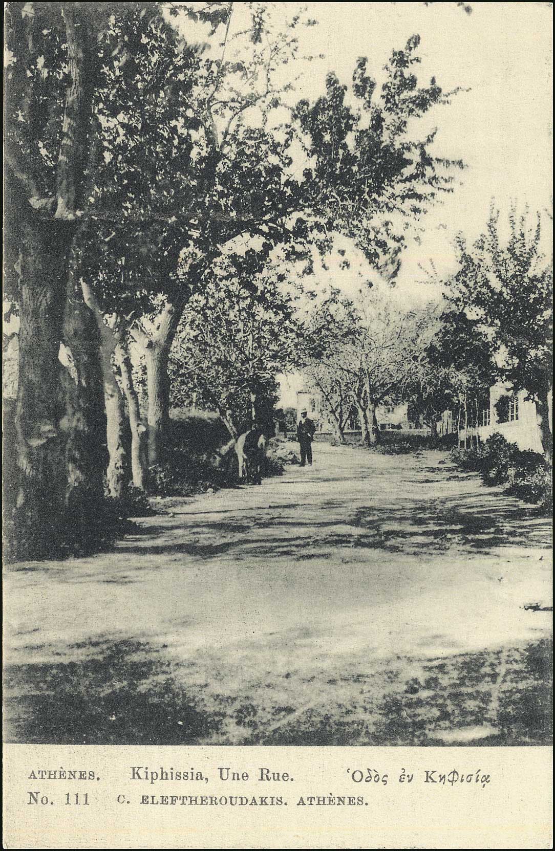 Lot 01549