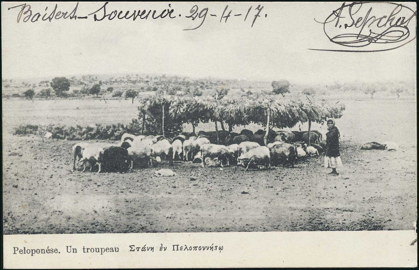 Lot 01487