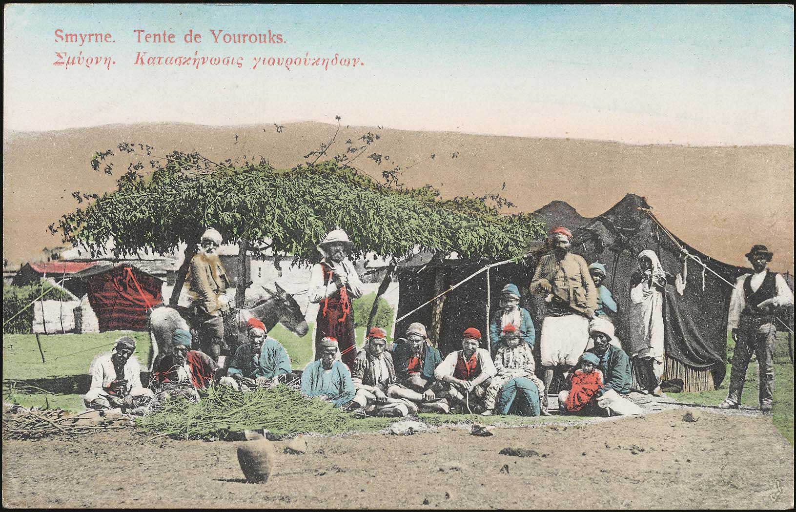 Lot 01884