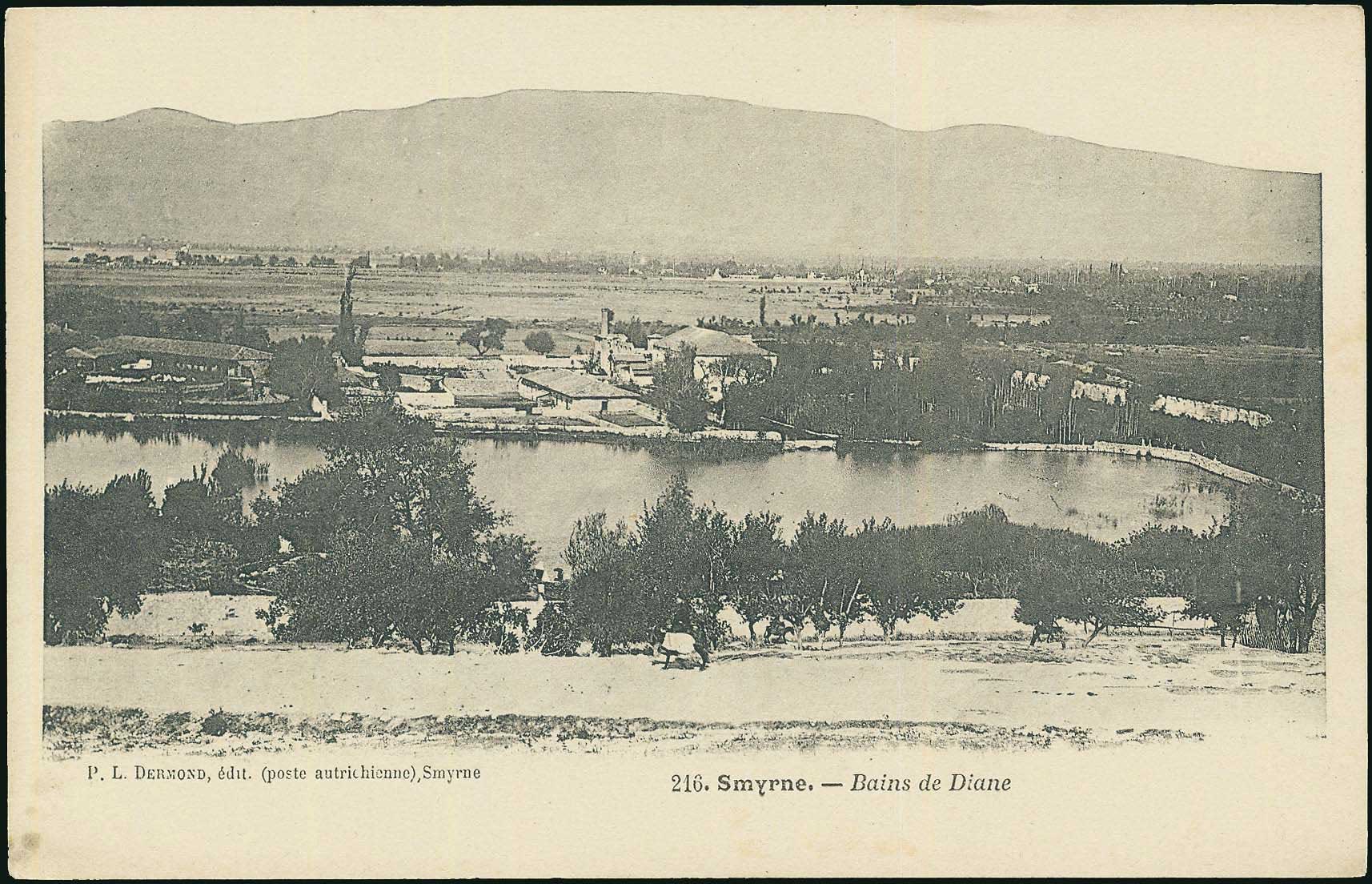 Lot 01915