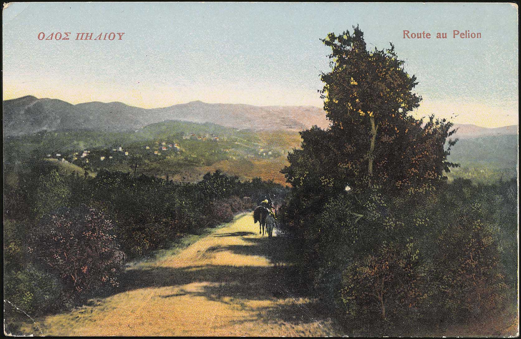 Lot 01422