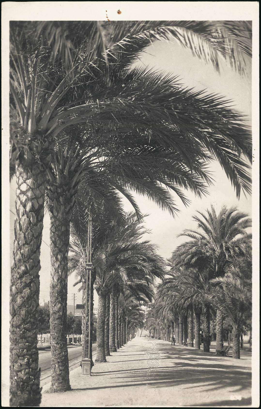 Lot 01514