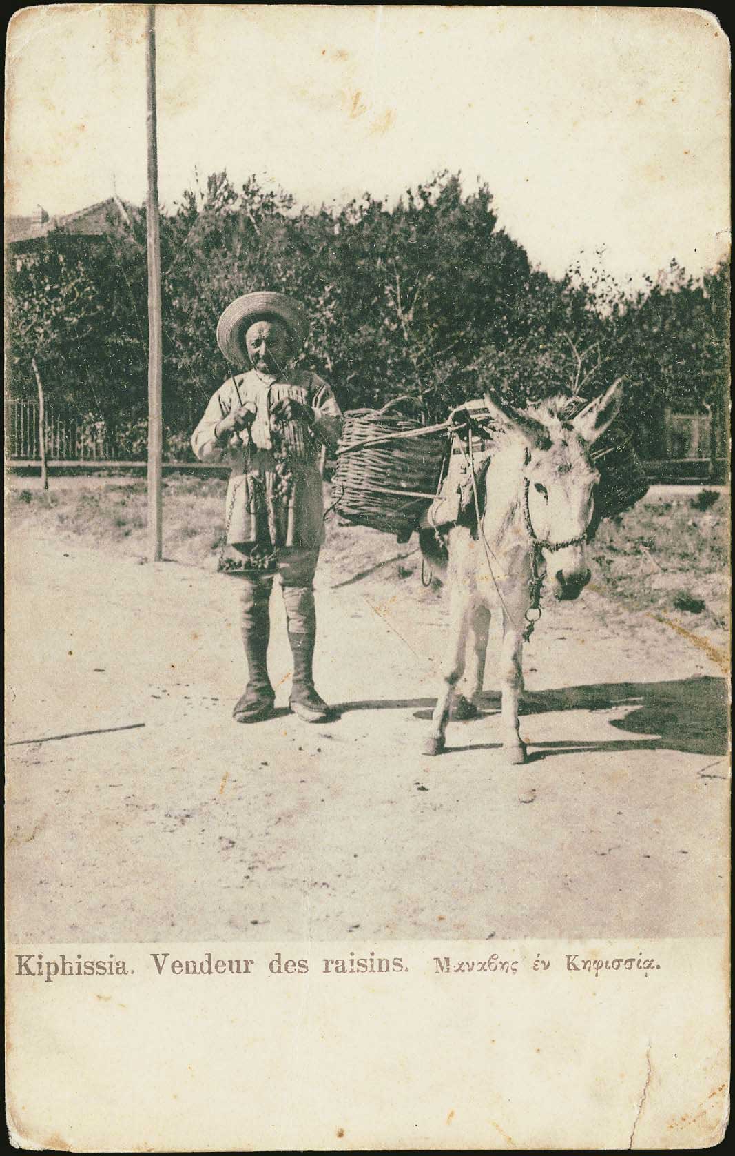 Lot 01903
