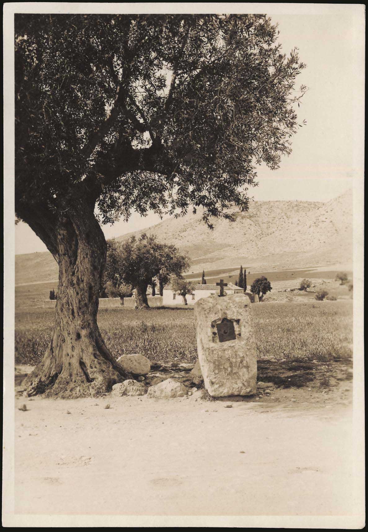 Lot 05347