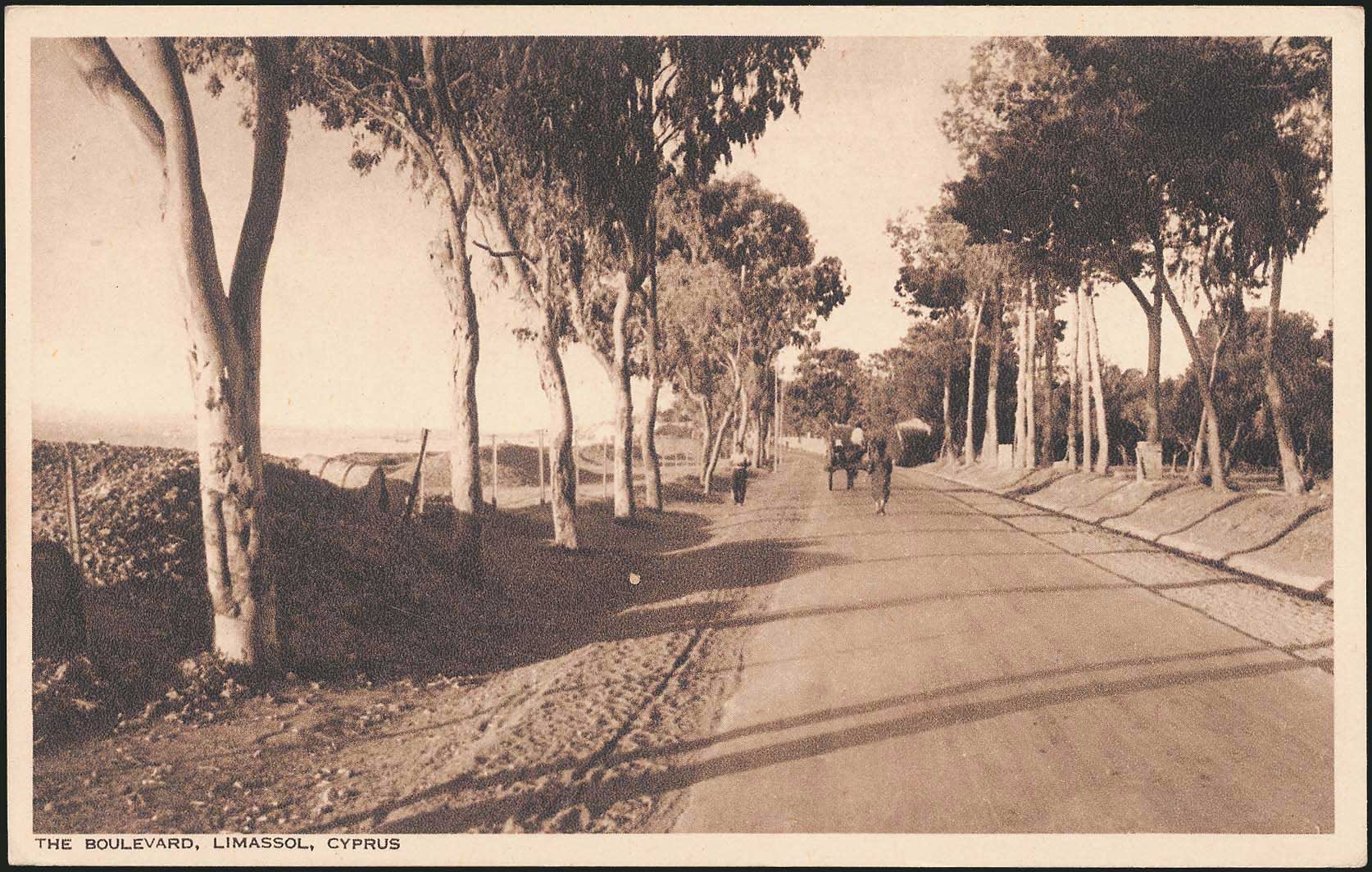 Lot 03216