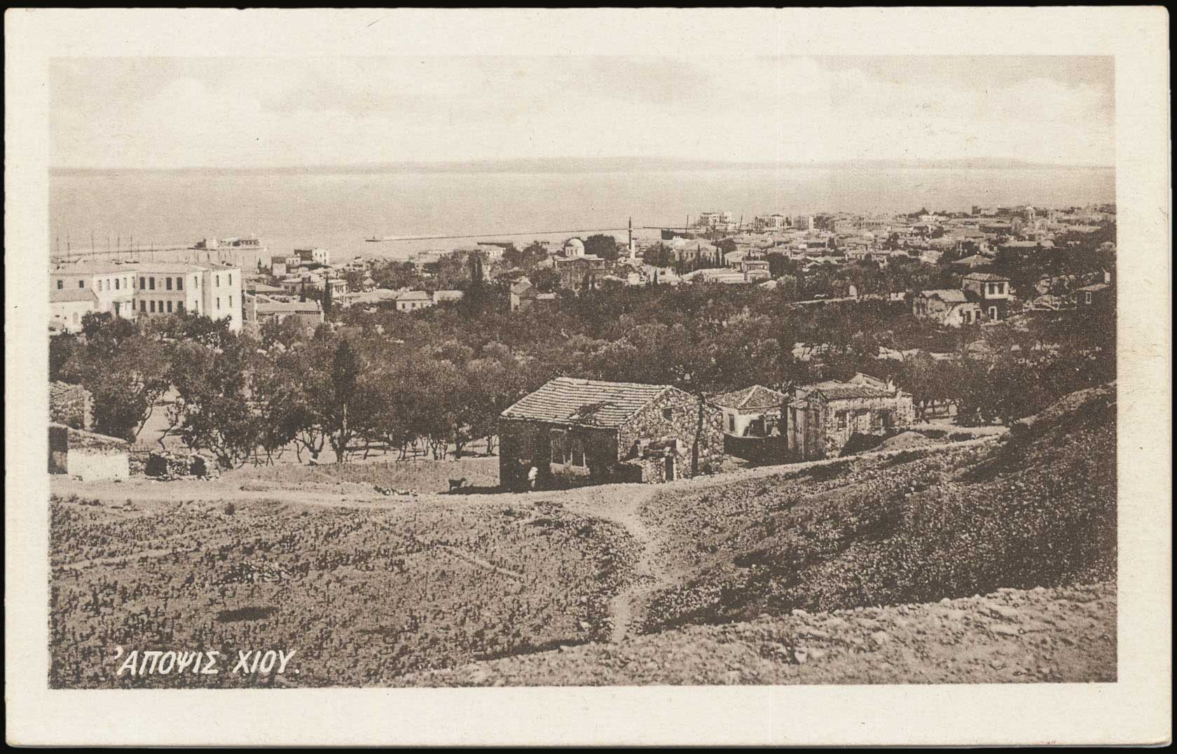Lot 01399