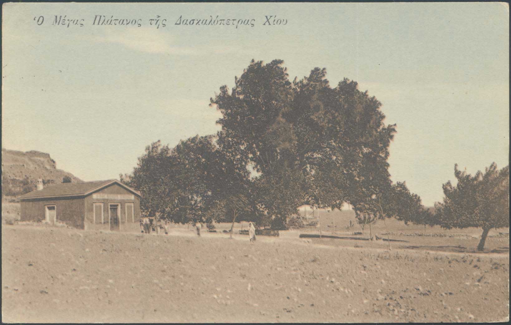 Lot 01411