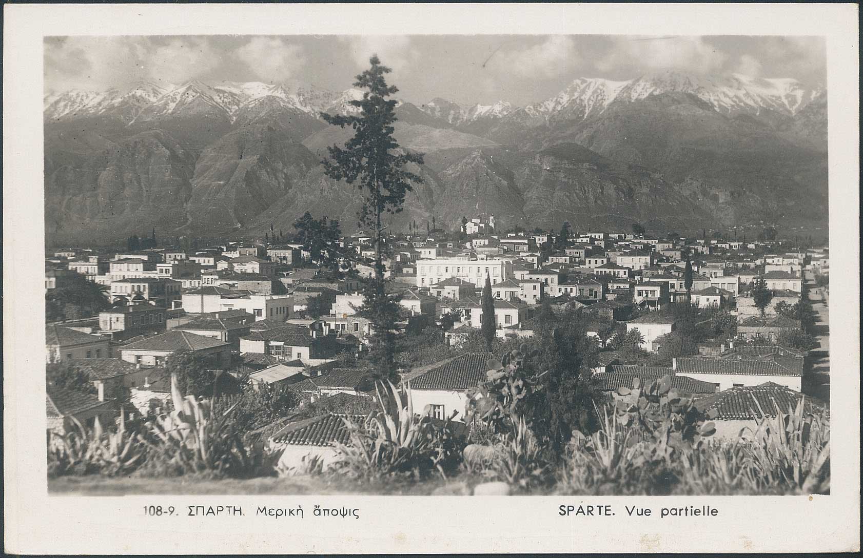 Lot 01419
