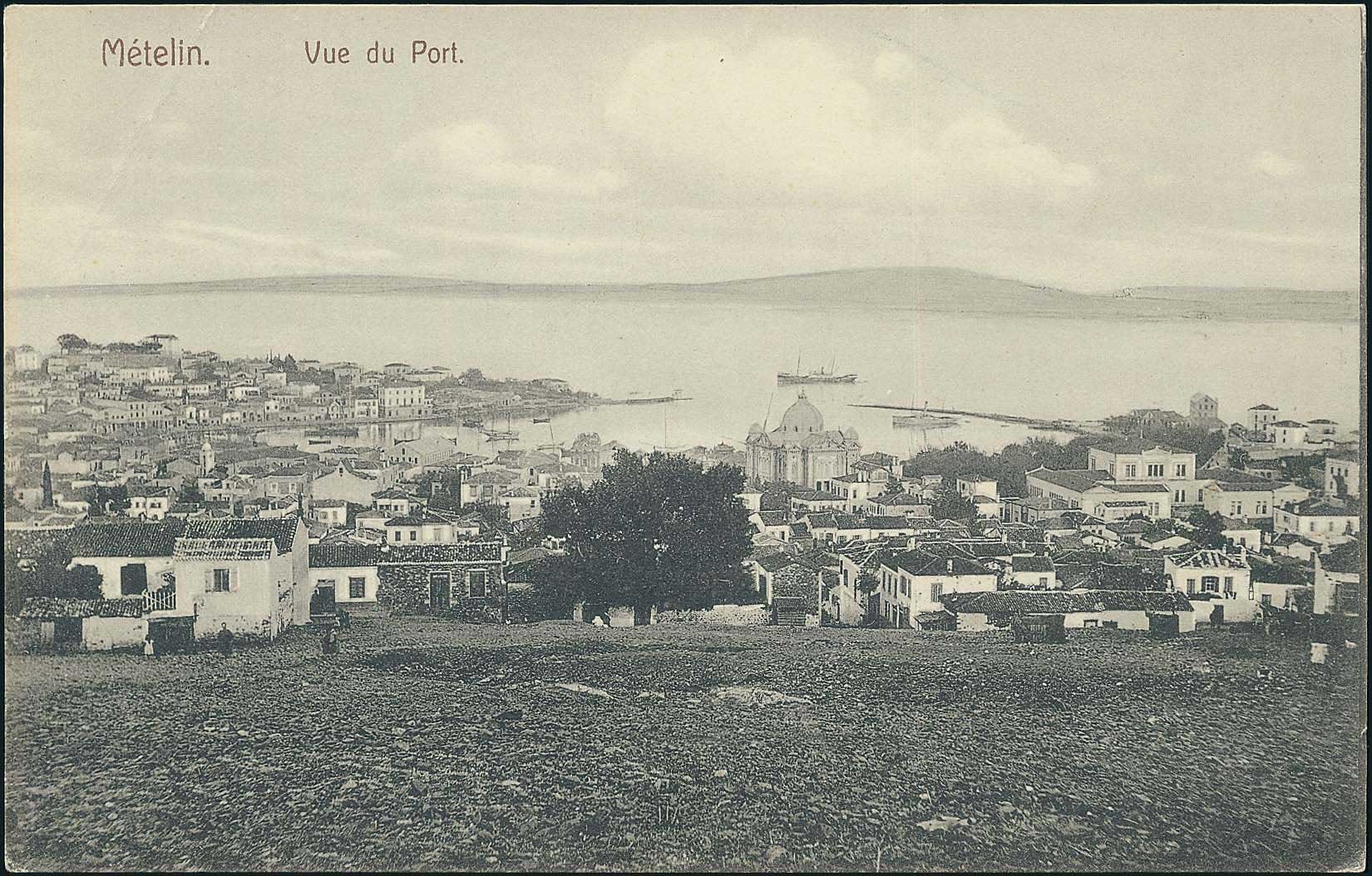 Lot 01411