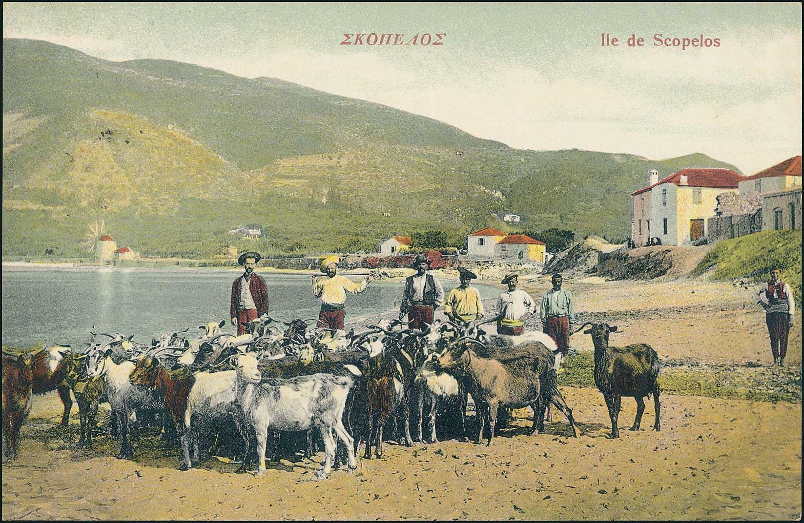 Lot 01605
