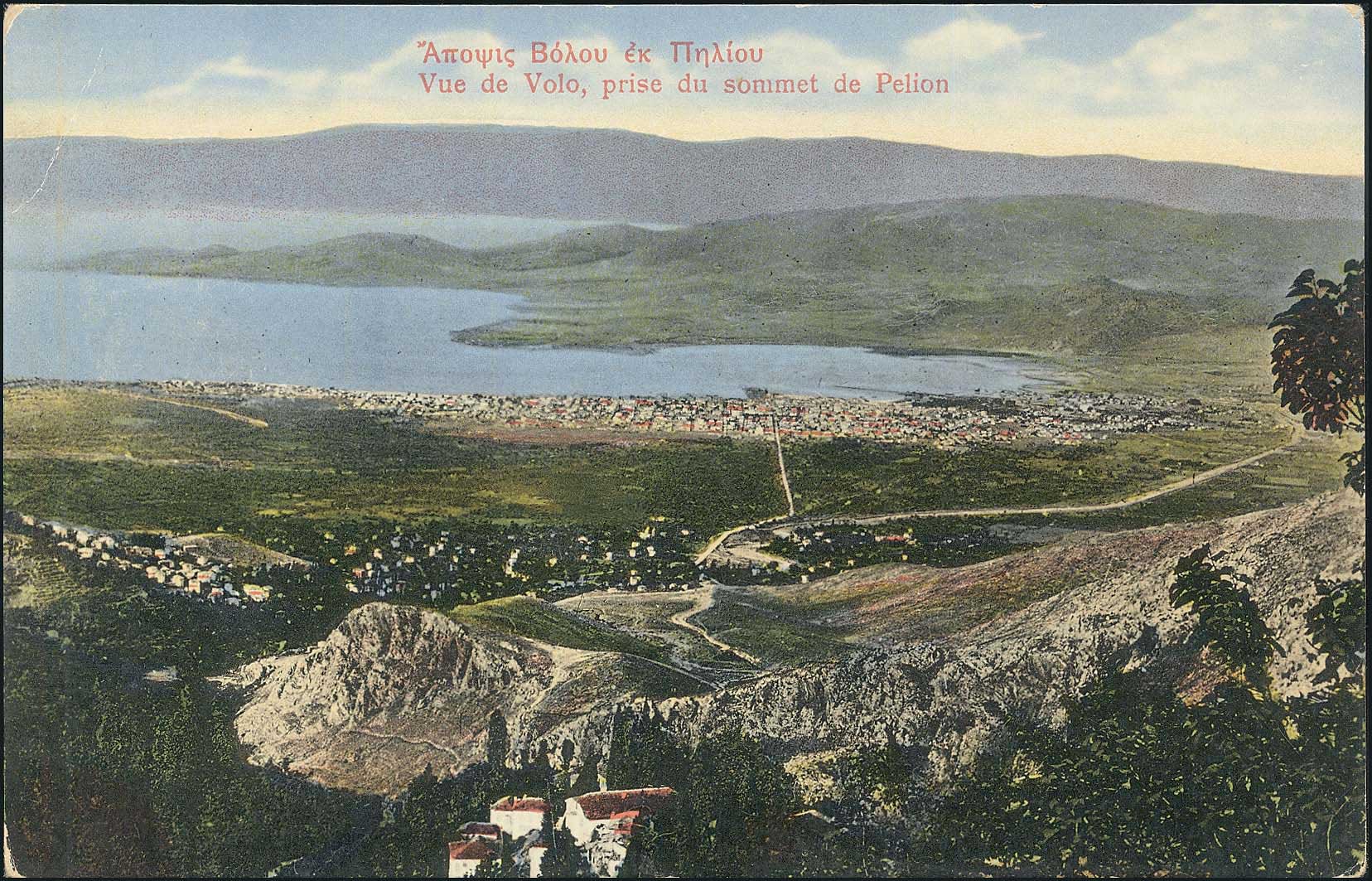 Lot 01913