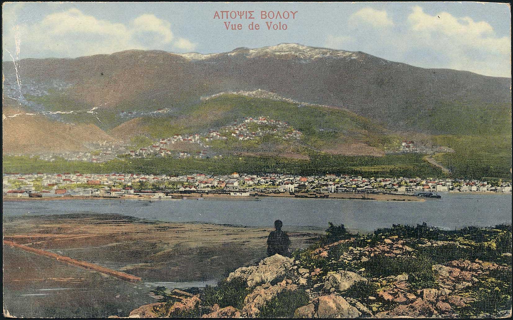 Lot 01559