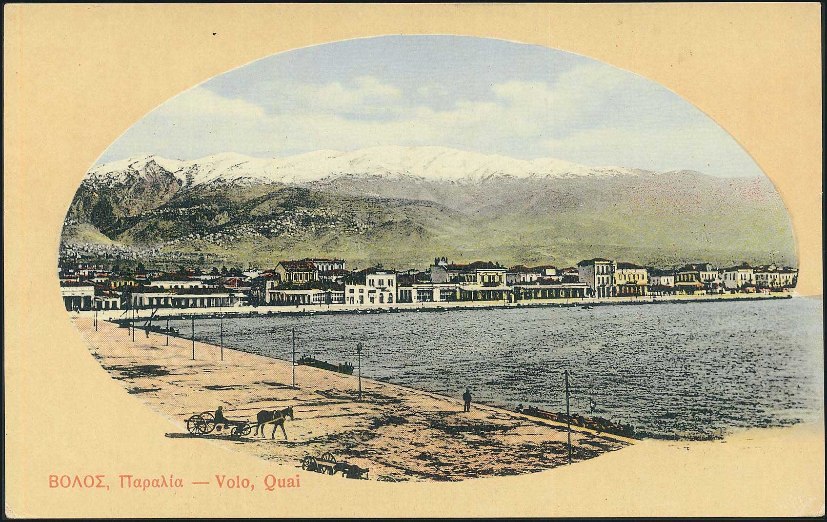 Lot 01915
