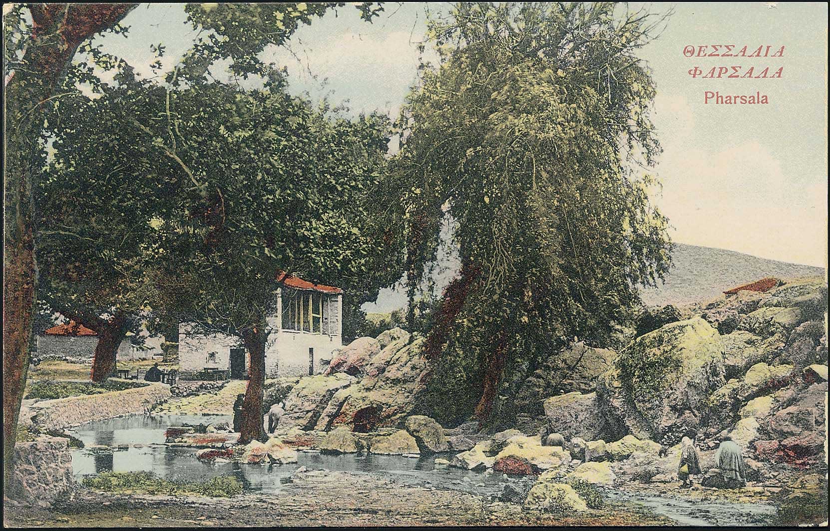 Lot 01461