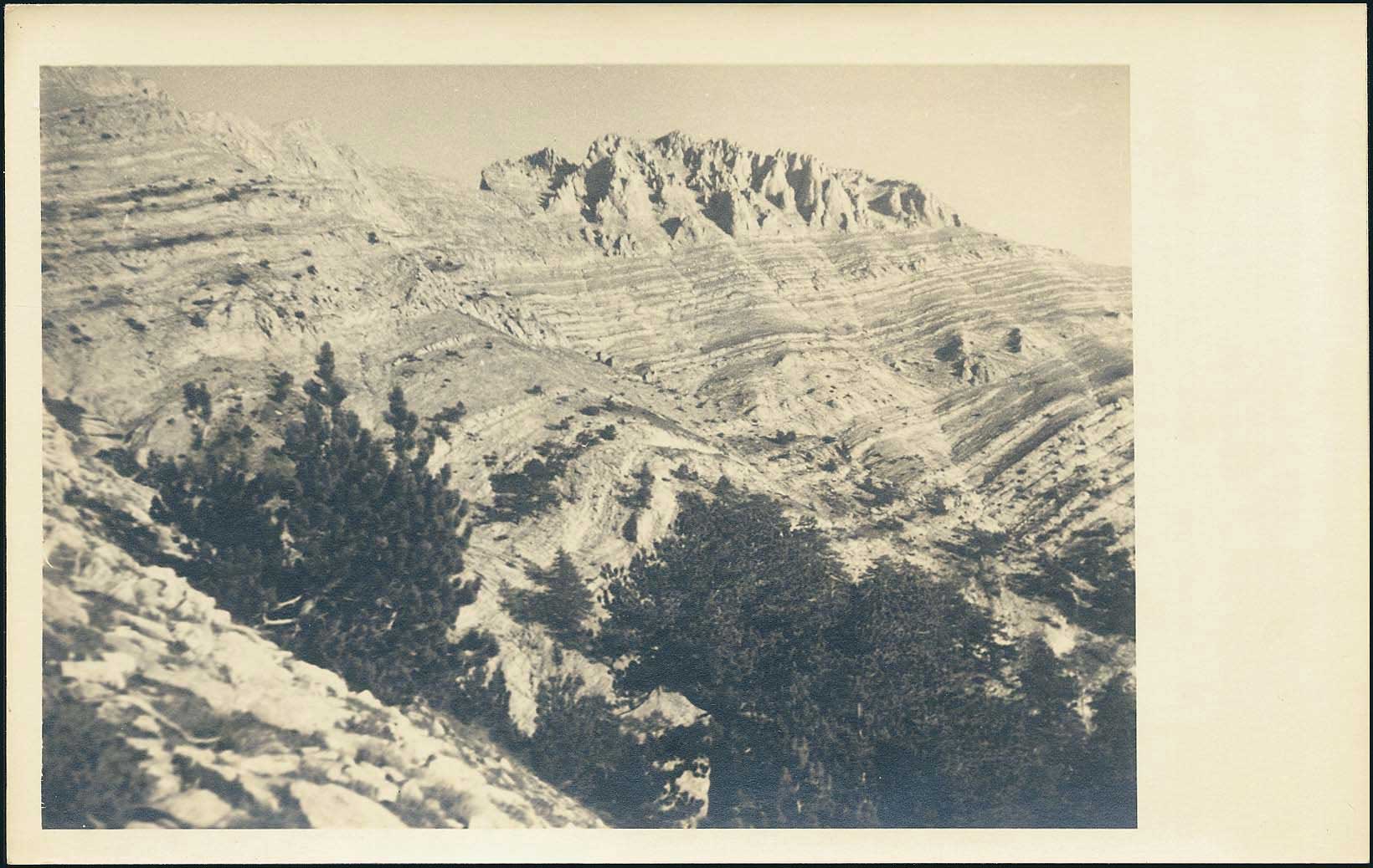 Lot 02268