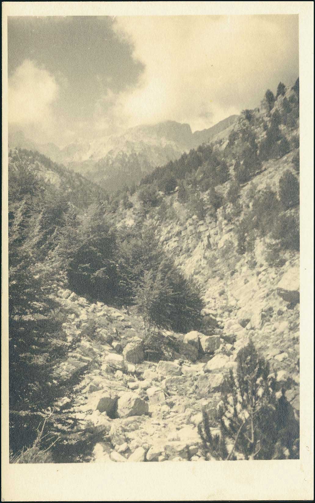 Lot 02269