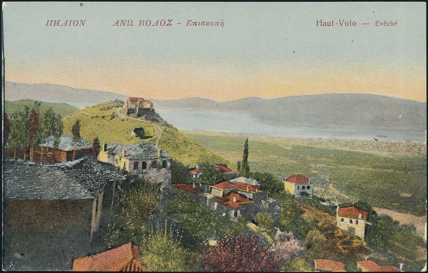 Lot 01426