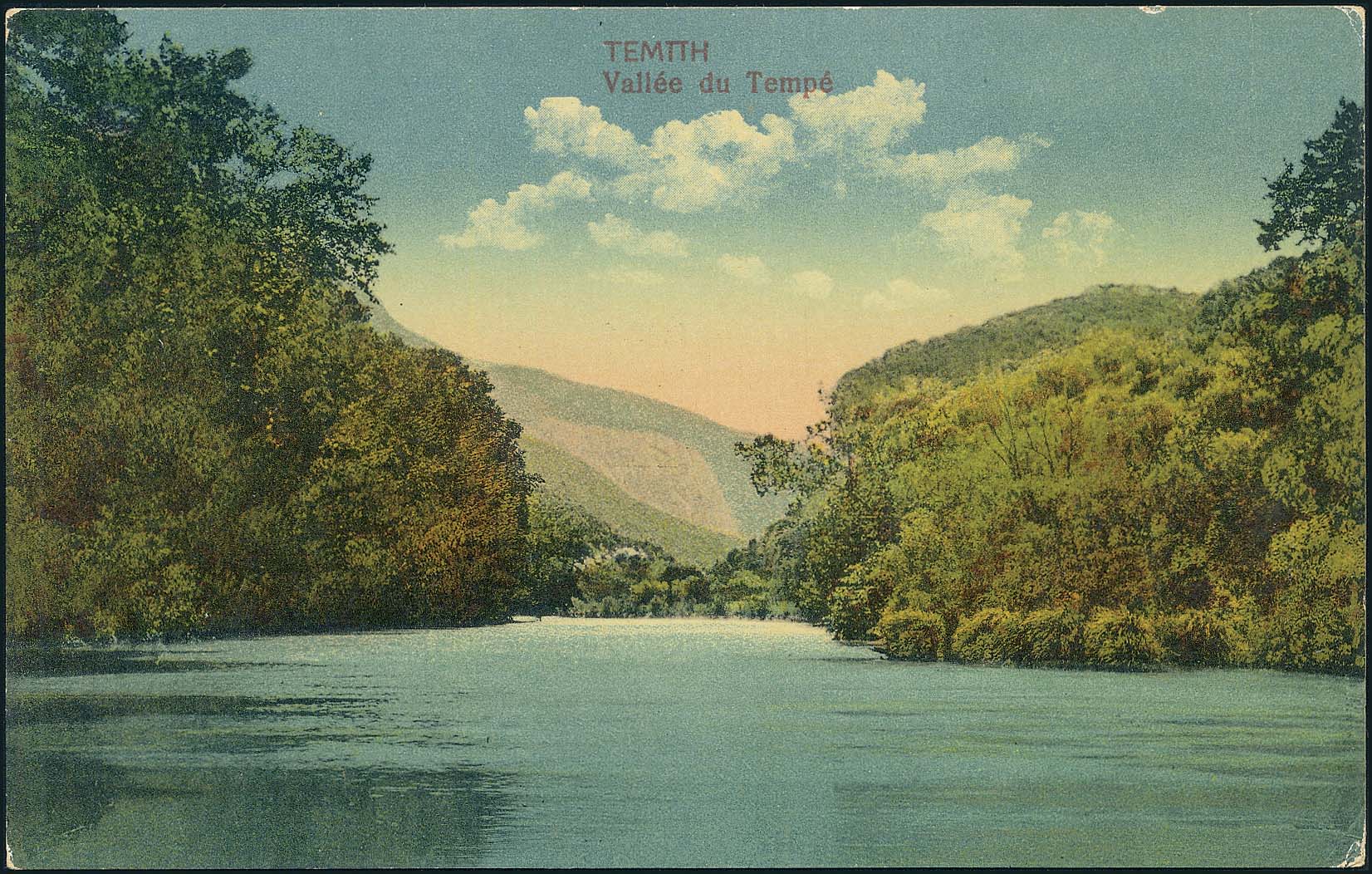 Lot 01488