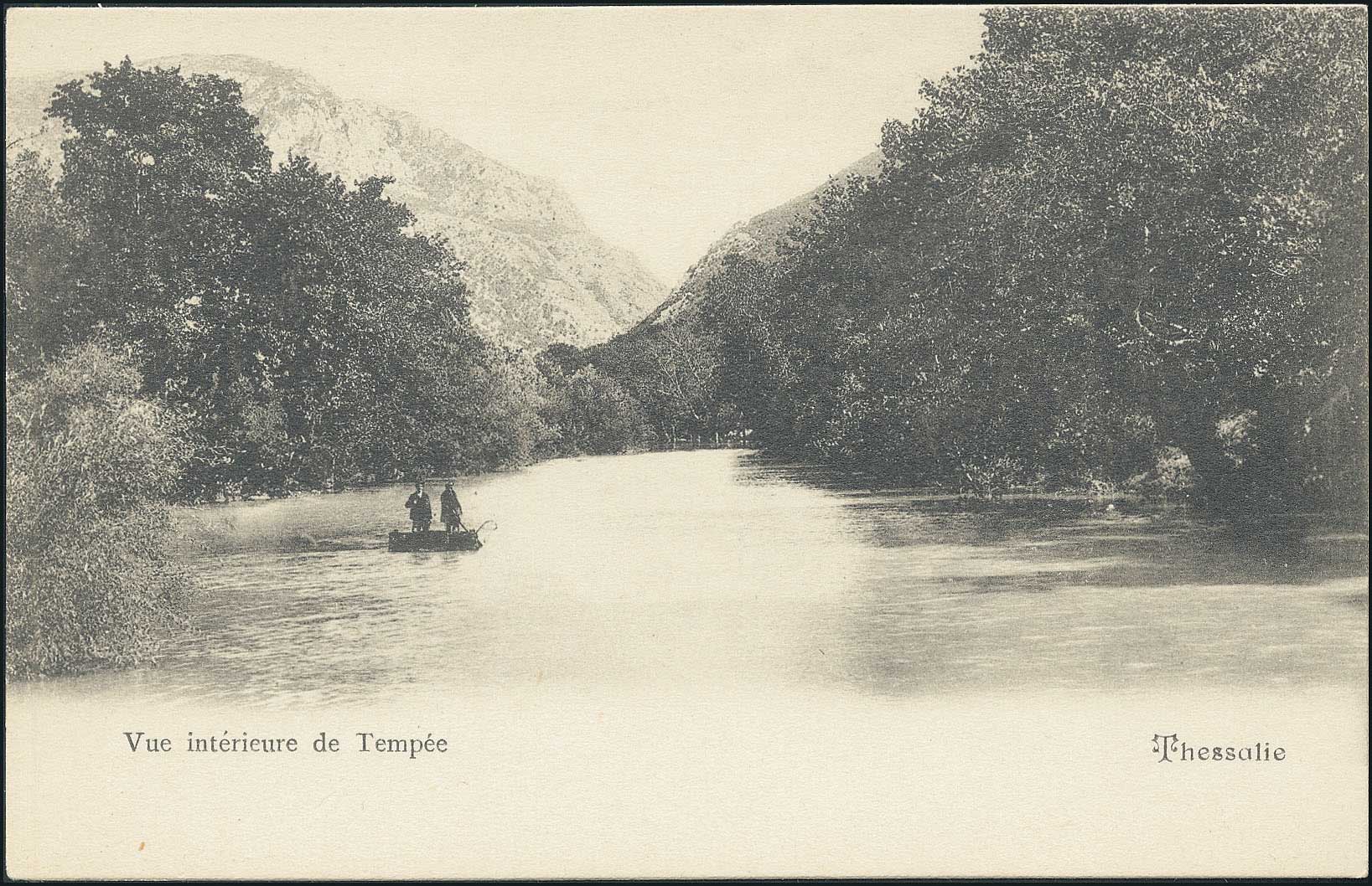 Lot 01437