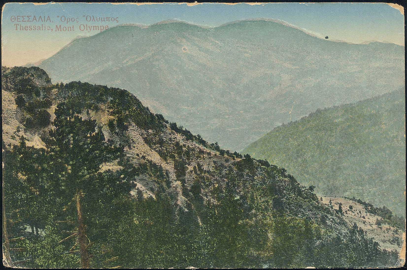 Lot 02241