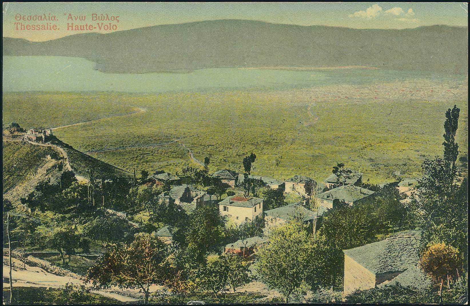 Lot 01608