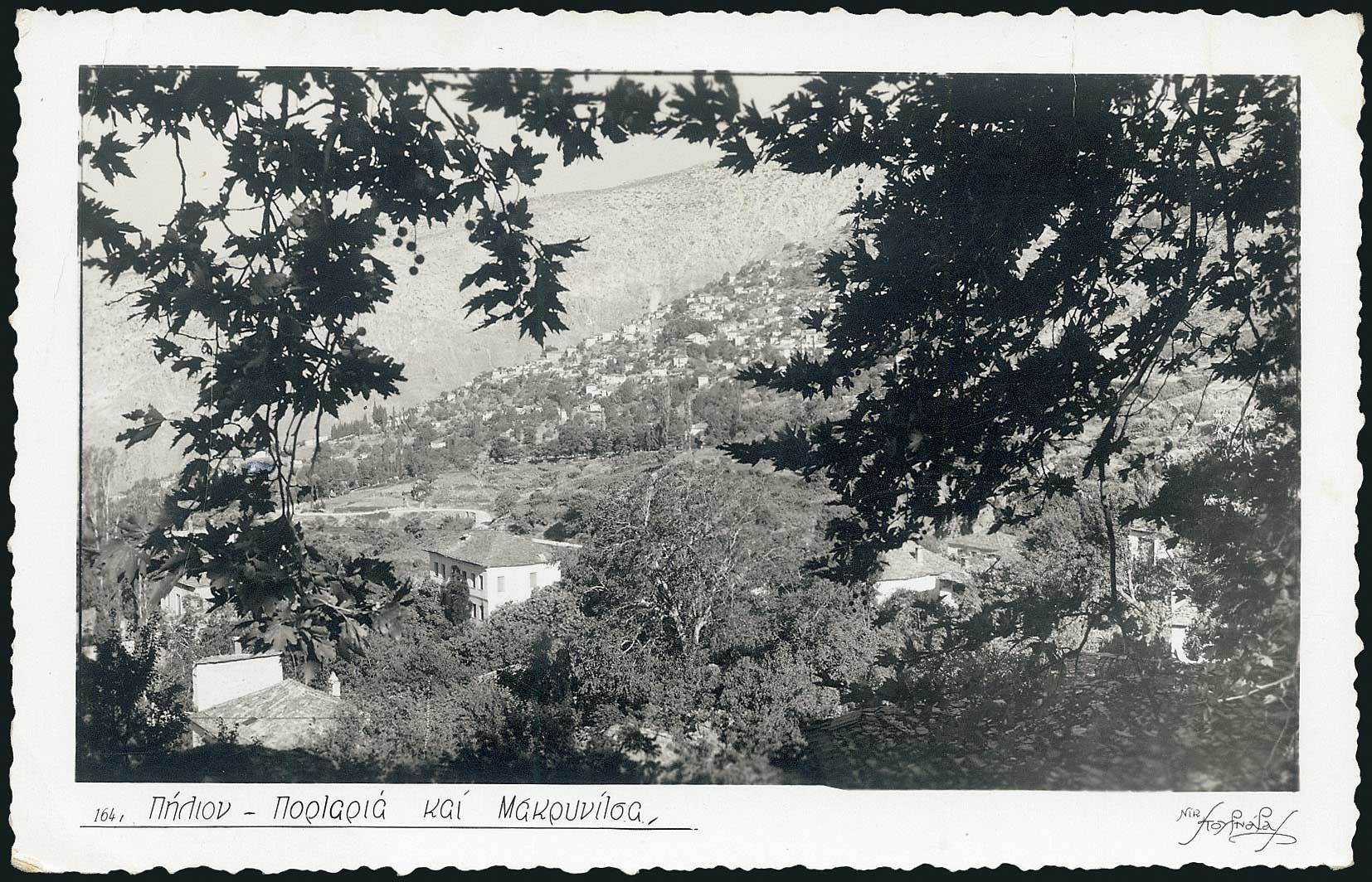 Lot 01626
