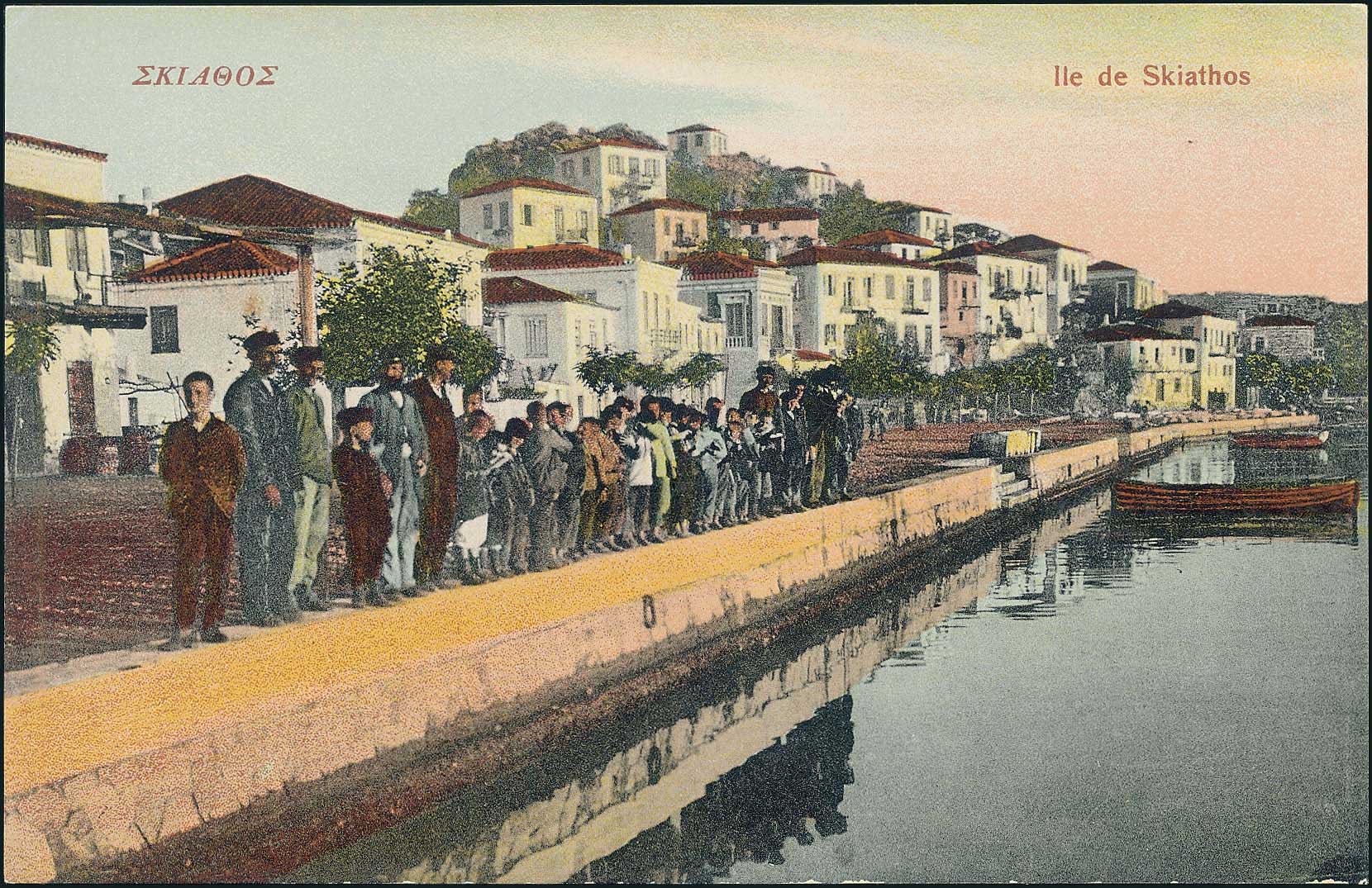 Lot 01559