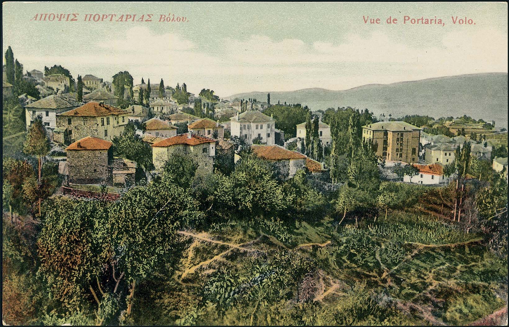 Lot 01469