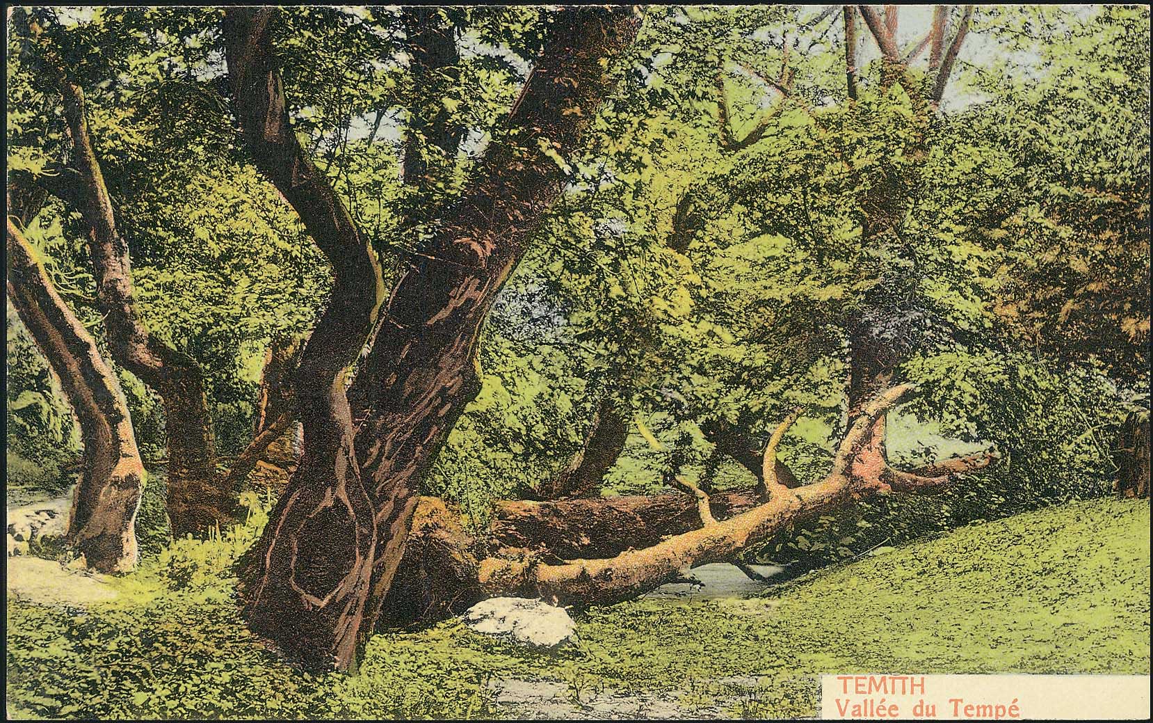 Lot 01462