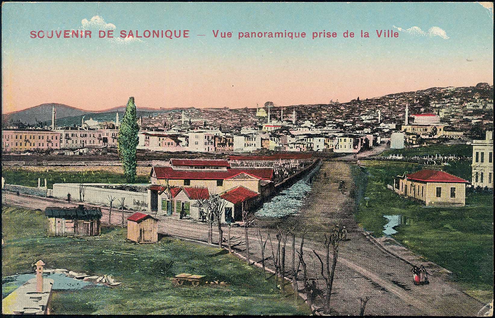 Lot 01630