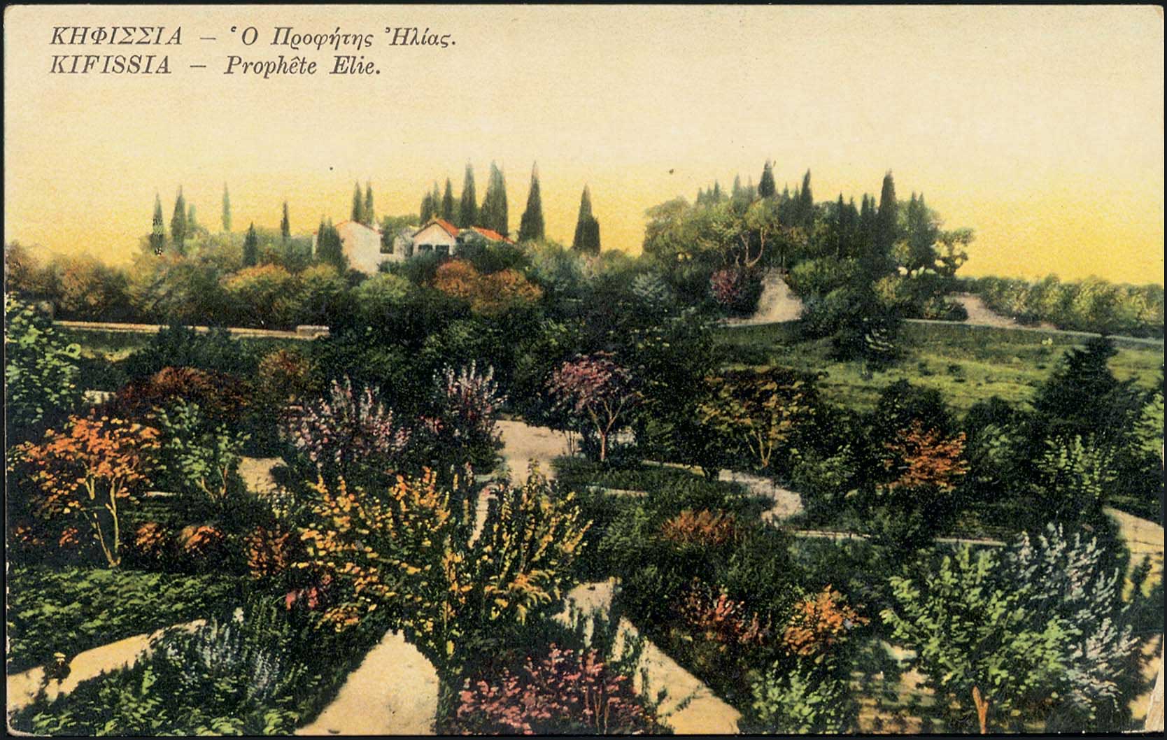 Lot 01902