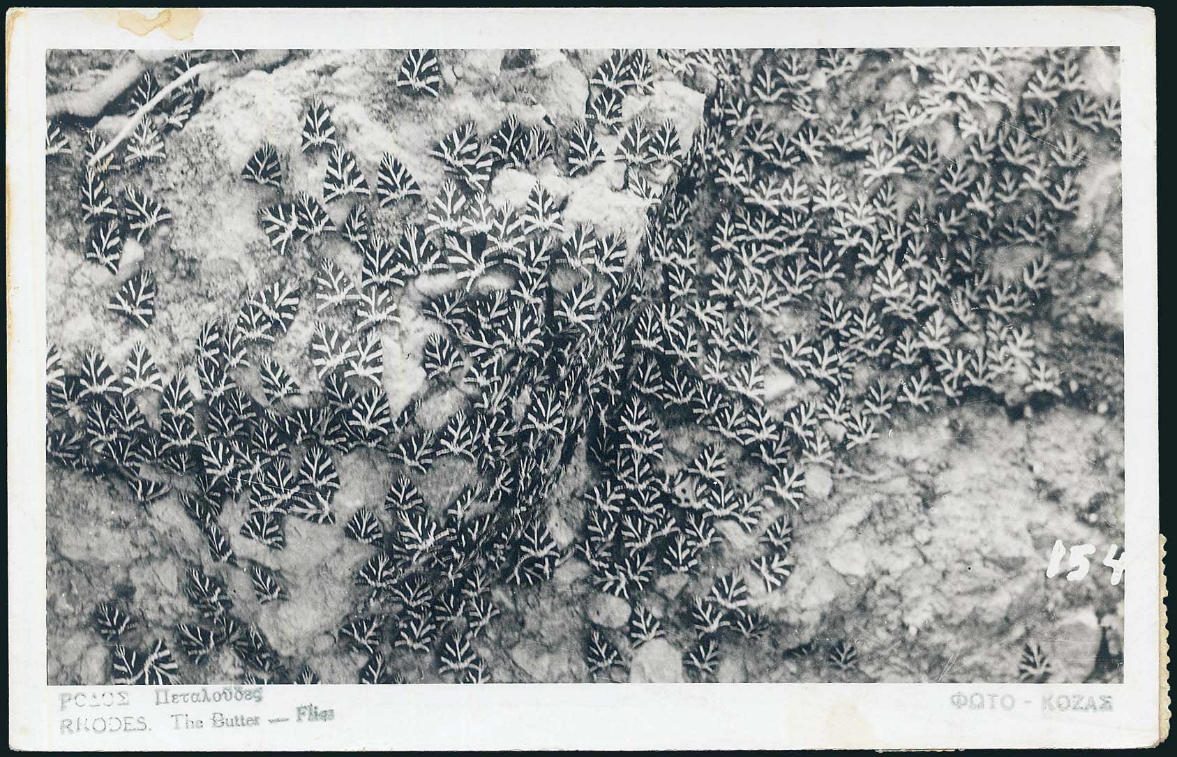 Lot 02103