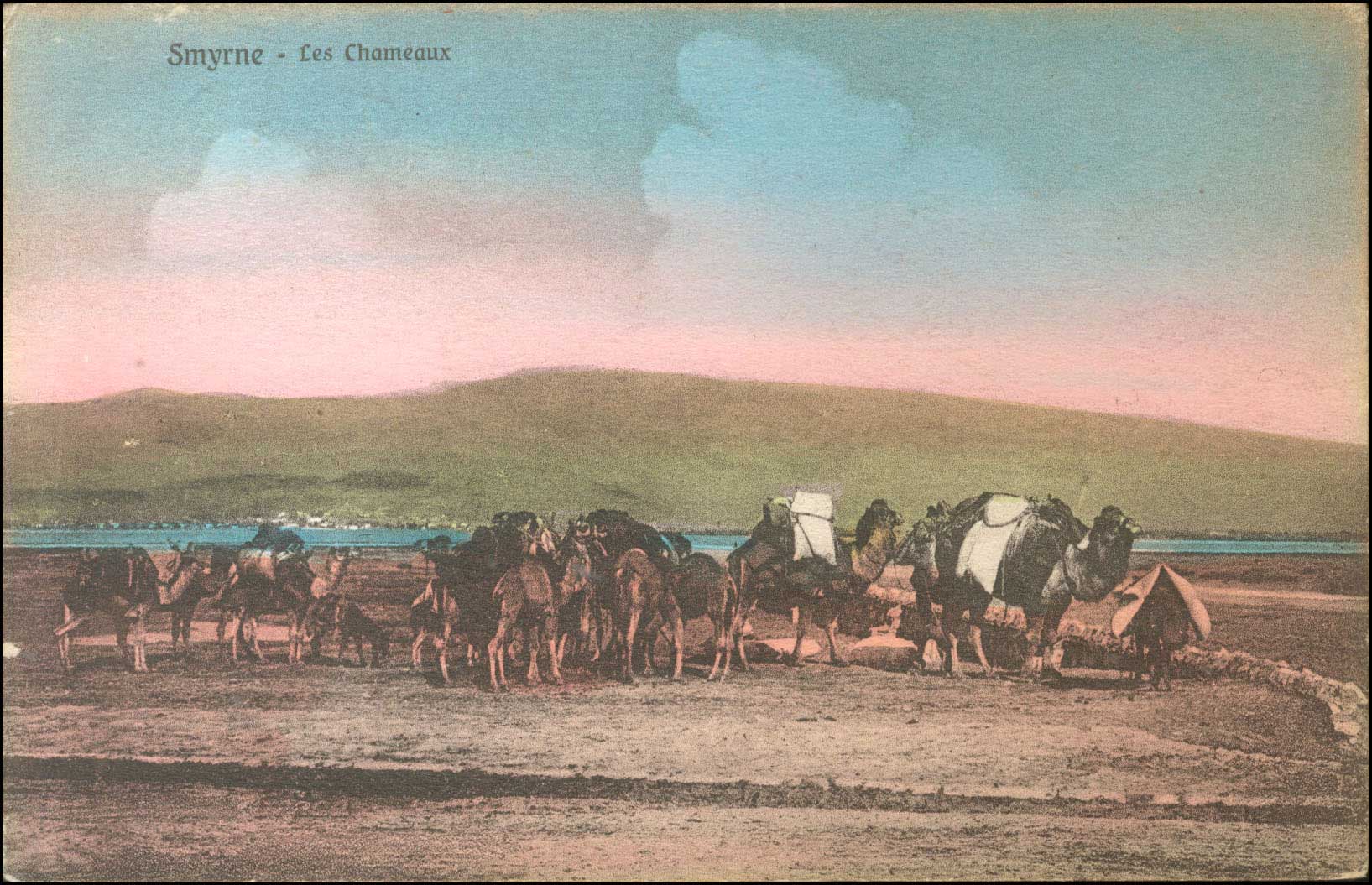 Lot 01977