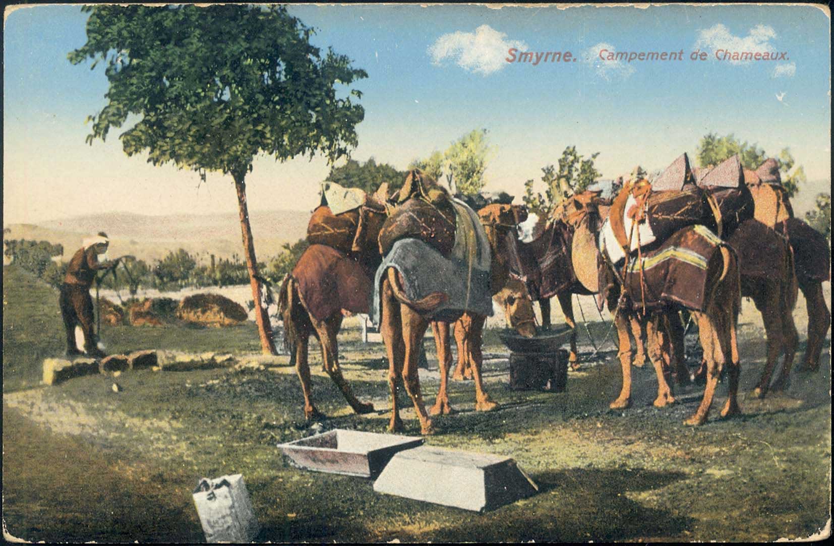Lot 01768