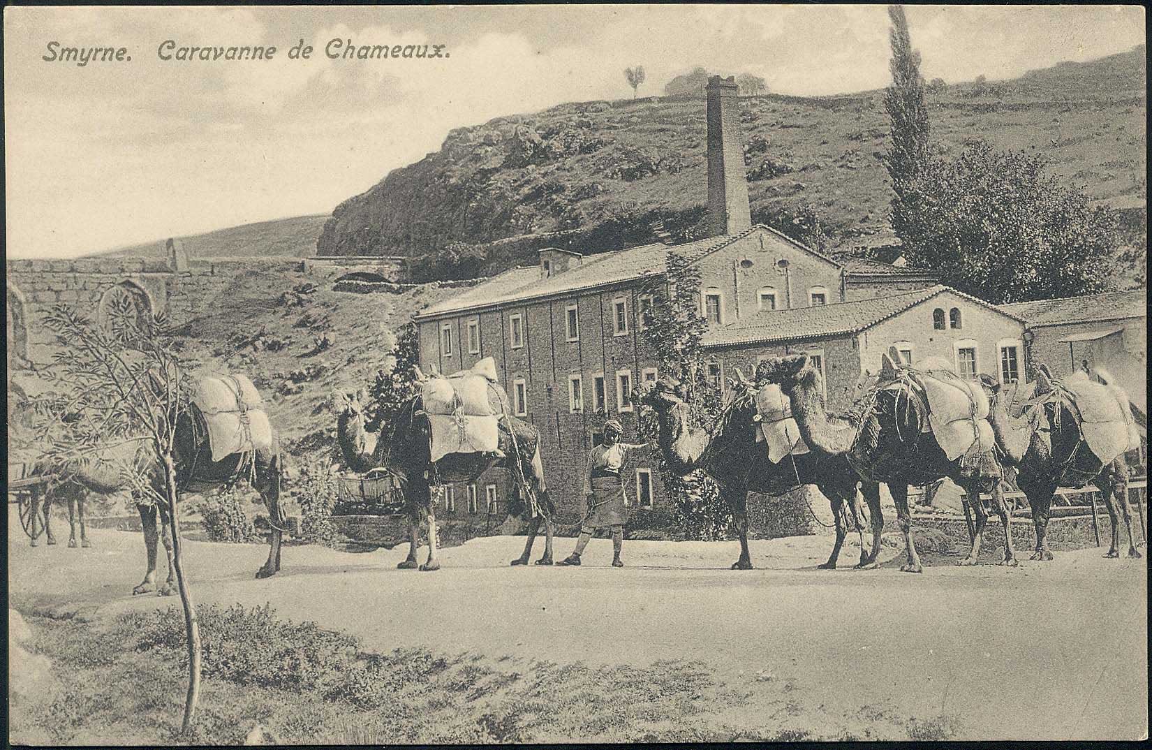 Lot 01790