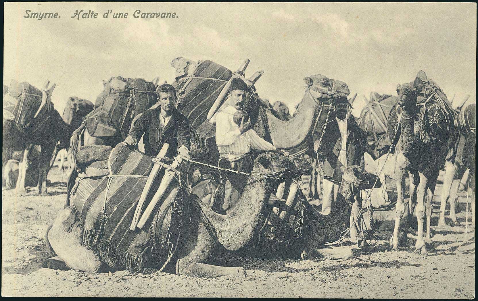 Lot 01732