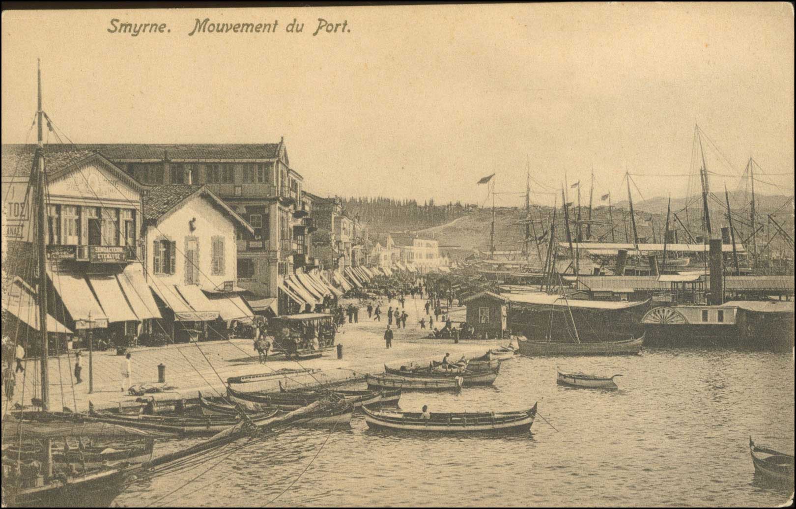 Lot 01952