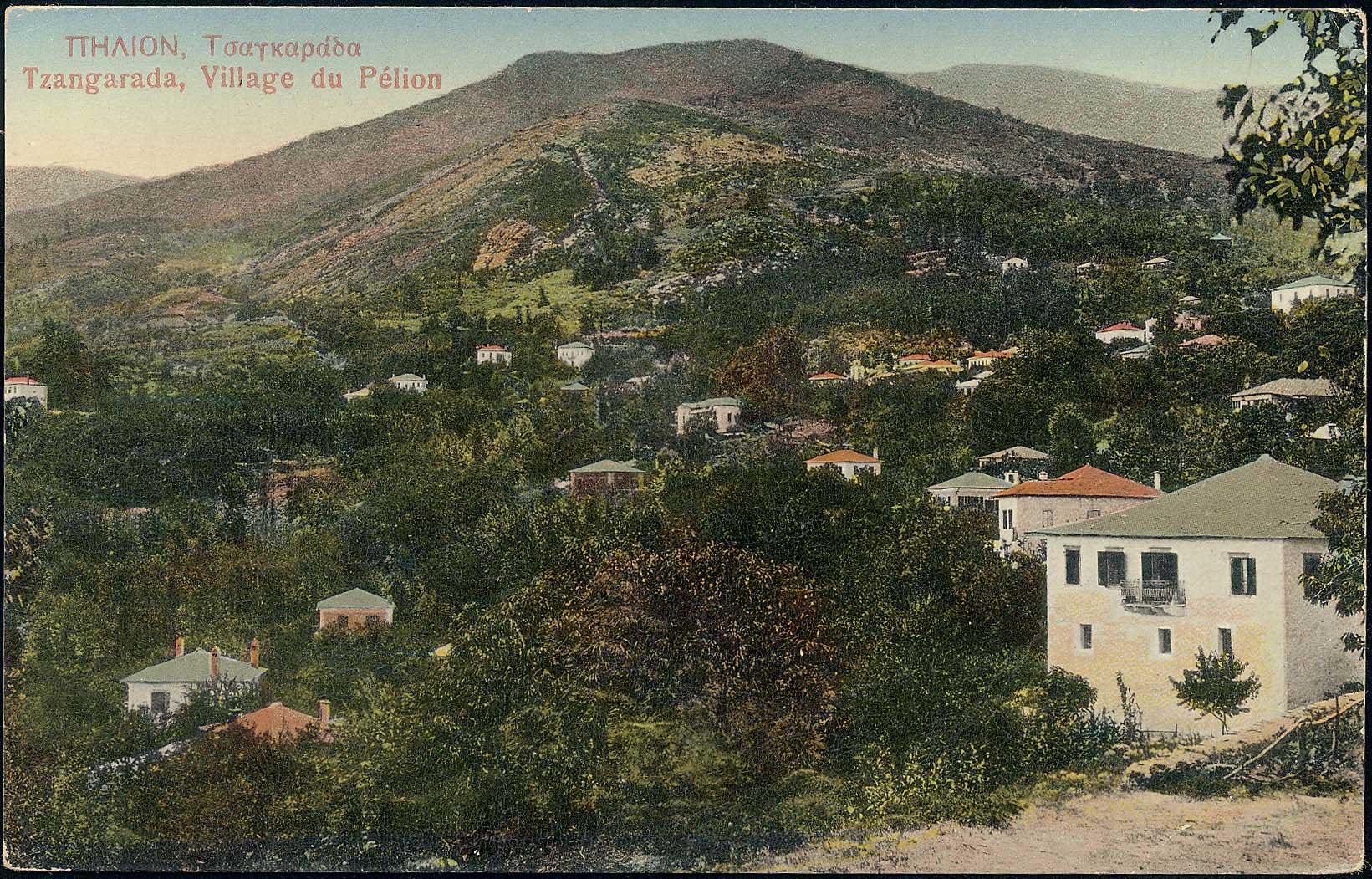 Lot 01931