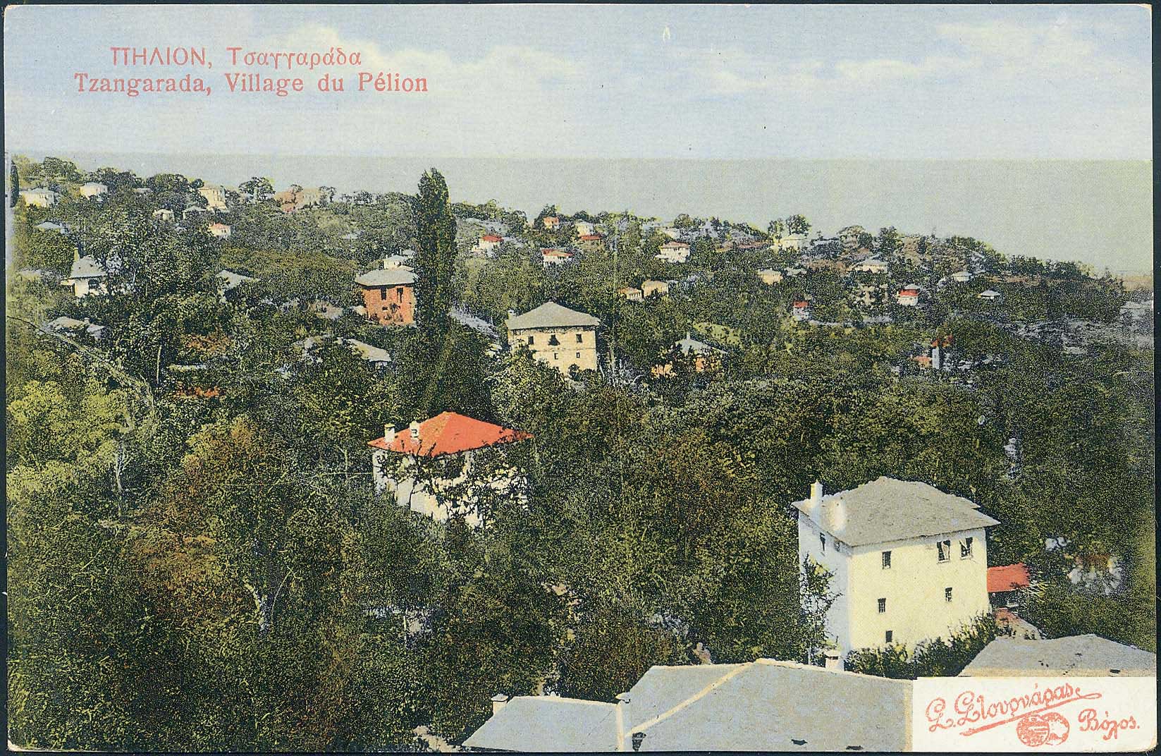 Lot 01495