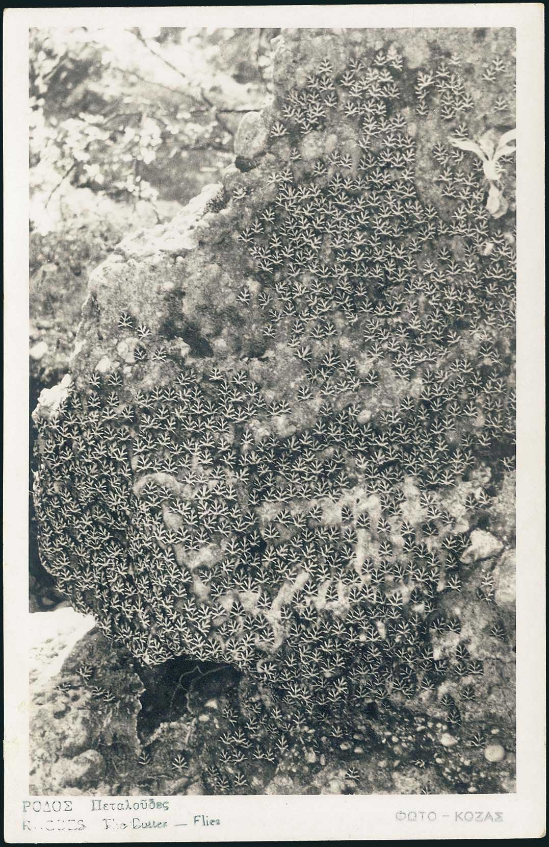 Lot 02102