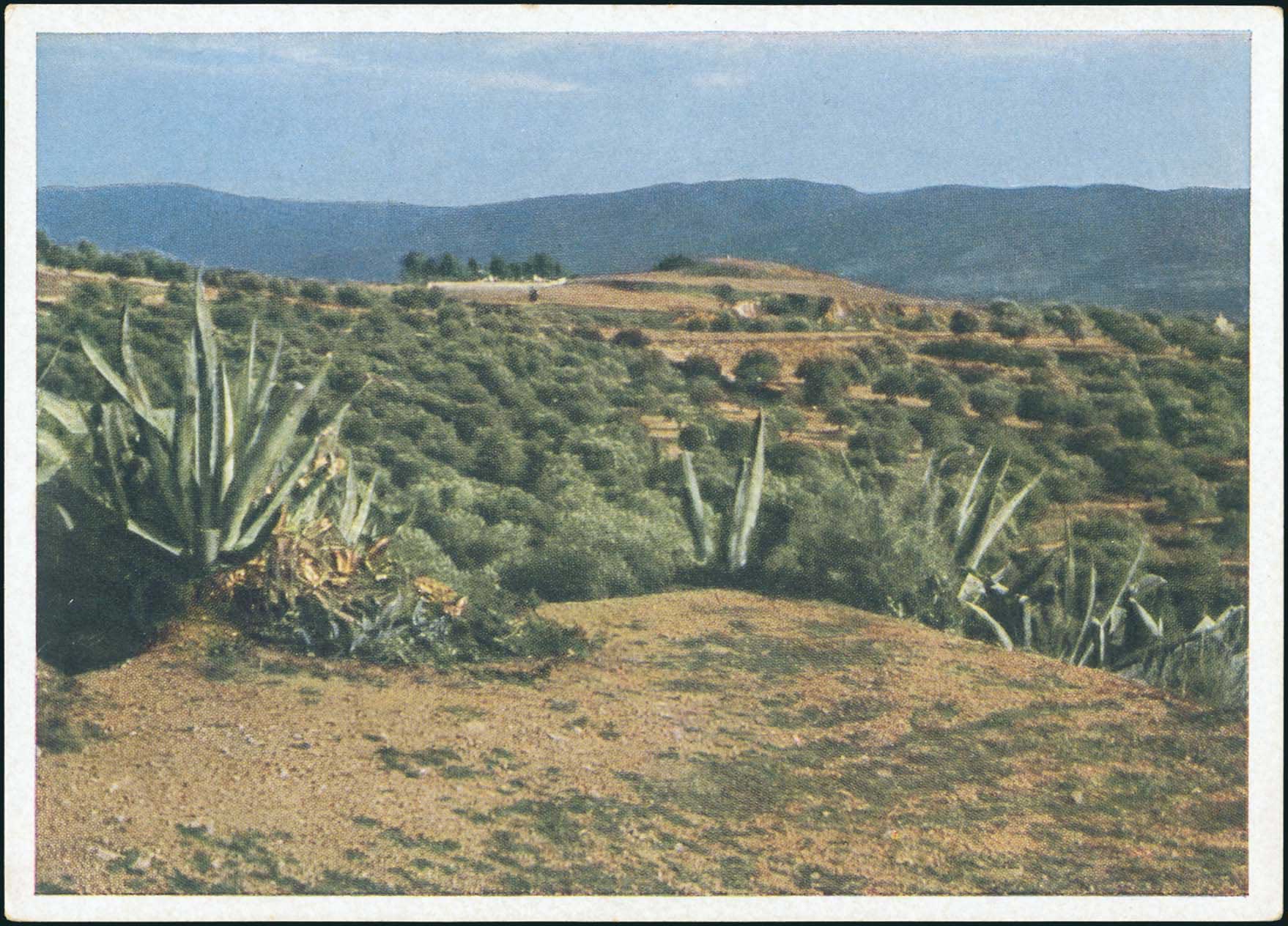 Lot 01759