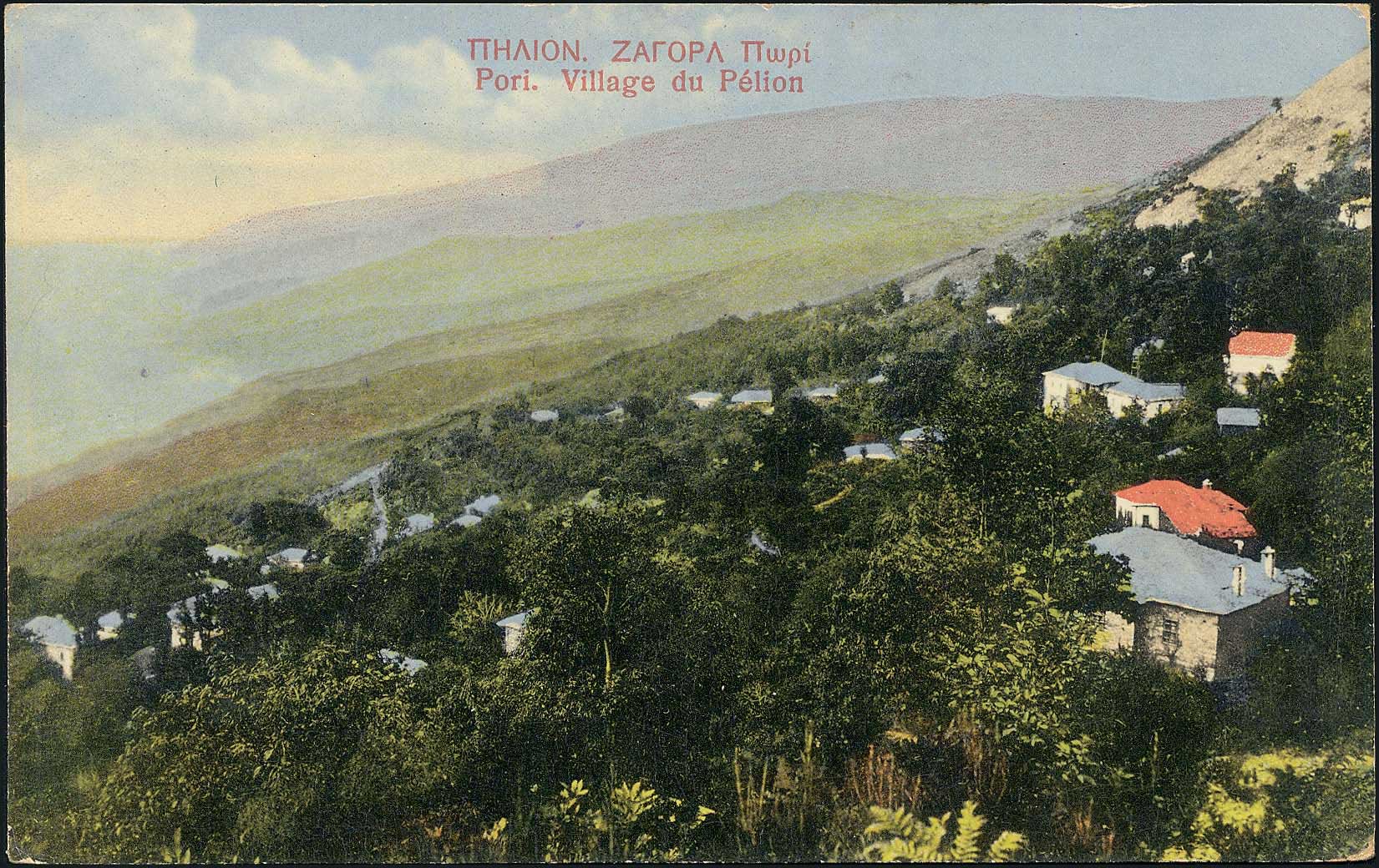 Lot 01936