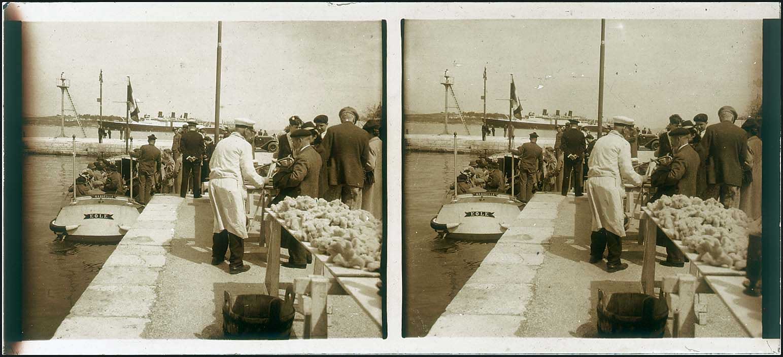 Lot 02525