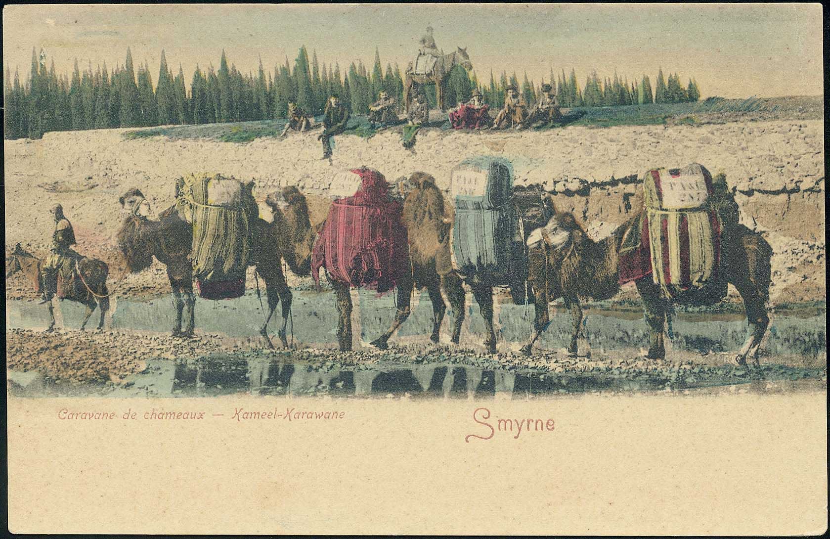 Lot 07189