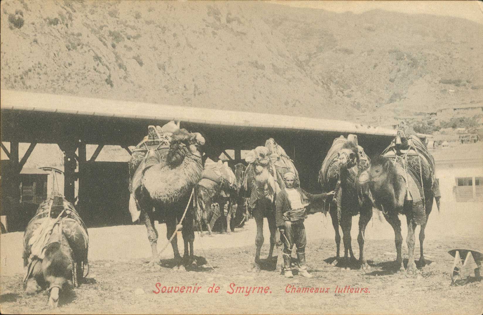 Lot 01978
