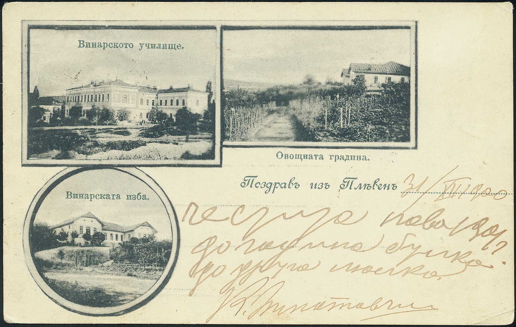 Lot 01918
