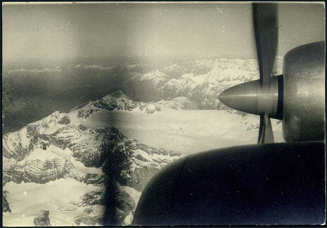 Lot 05393