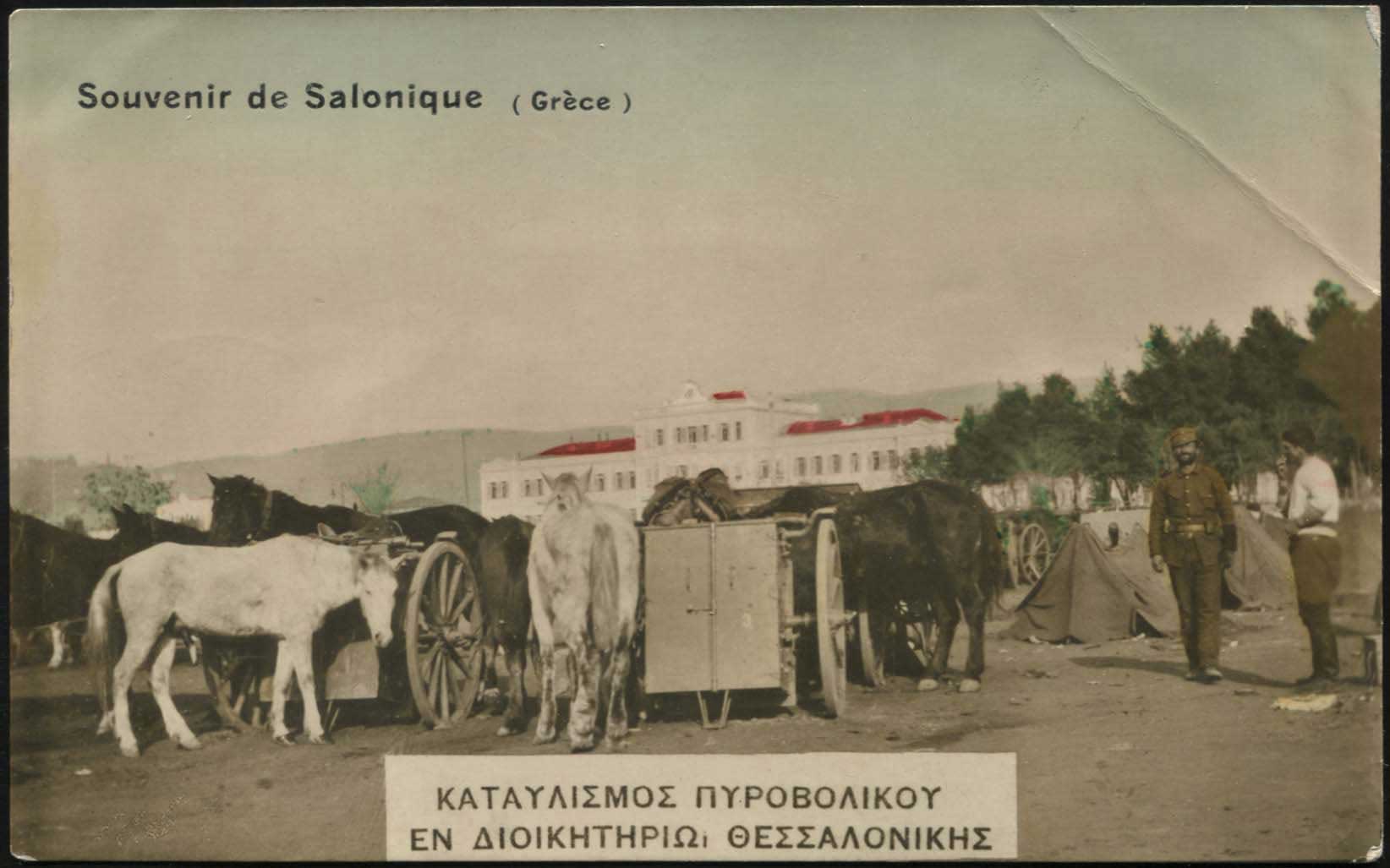 Lot 02254