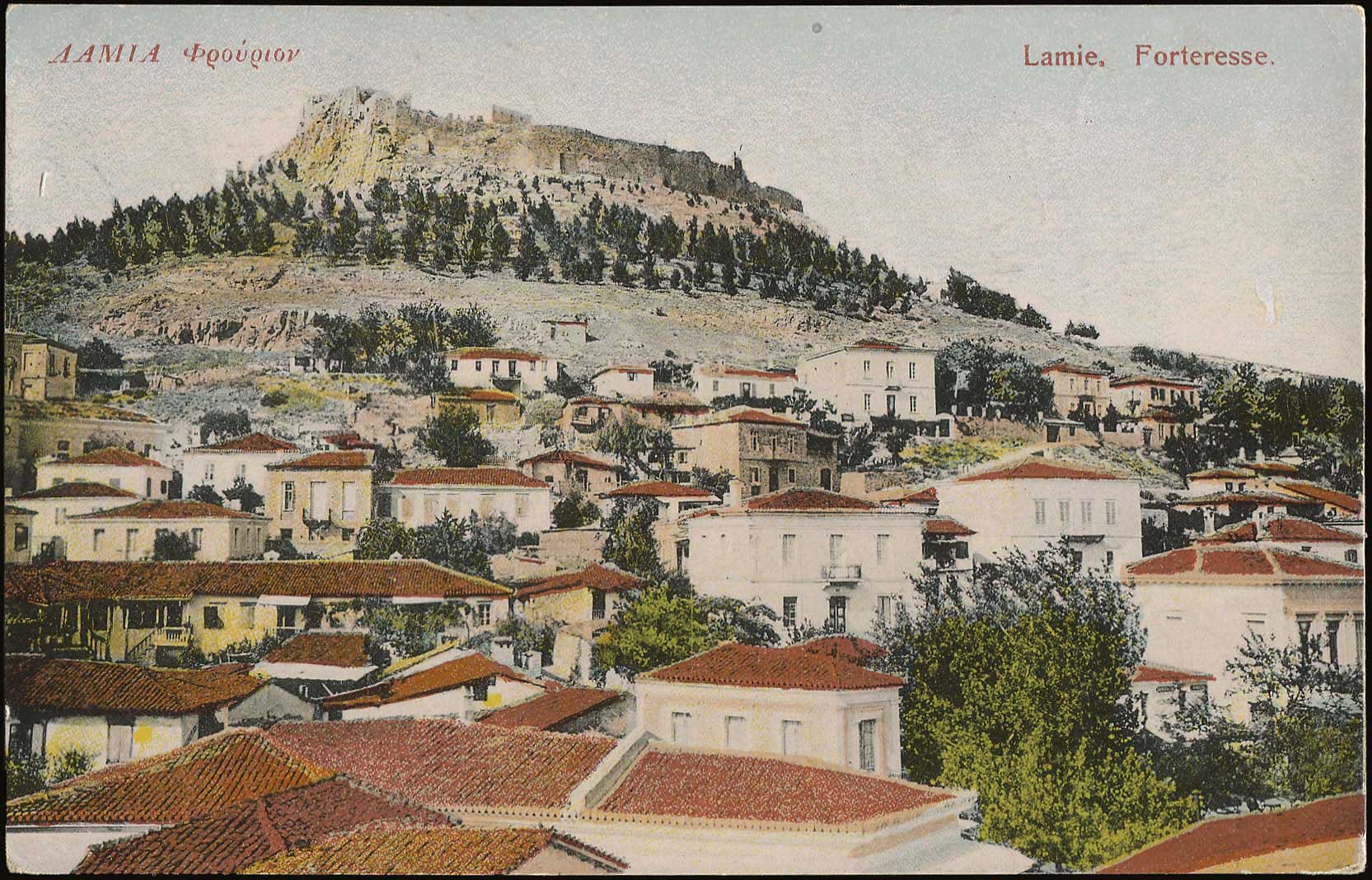 Lot 01557