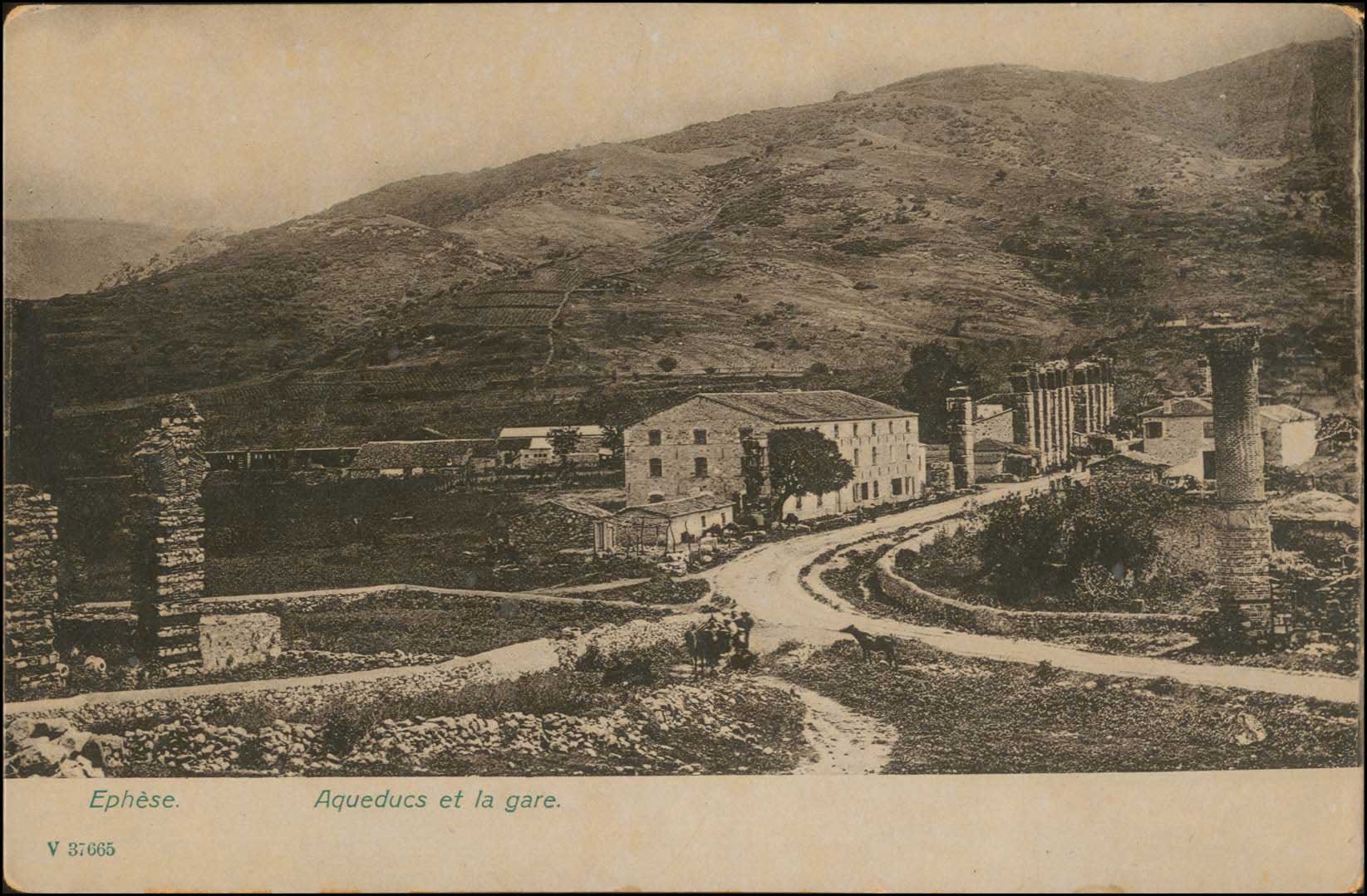 Lot 01885